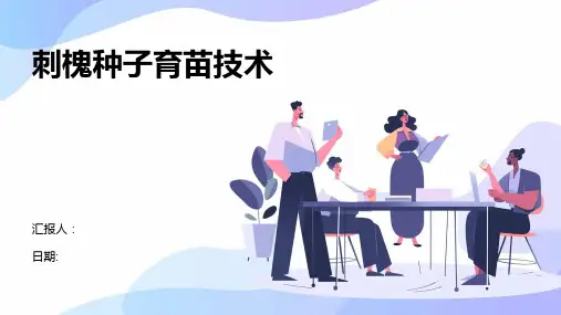 刺槐种子育苗技术