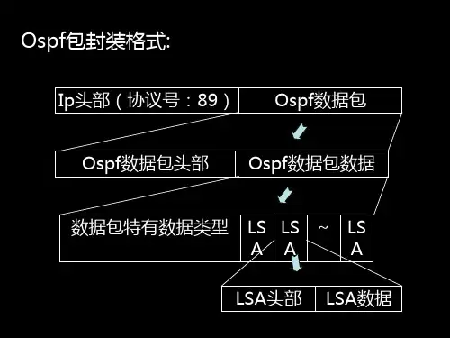 ospf数据包格式