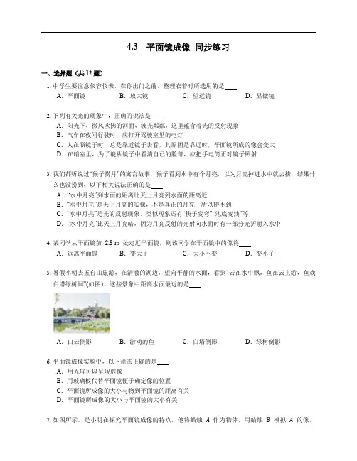 4.3  平面镜成像 同步练习——八年级上册物理人教版