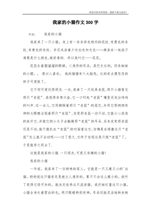 我家的小猫作文300字