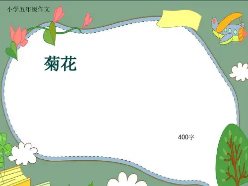 小学五年级作文《菊花》400字(共8页PPT)