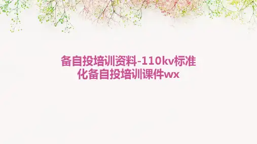 备自投培训资料-110KV标准化备自投培训课件WX