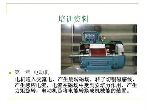 电动机培训资料