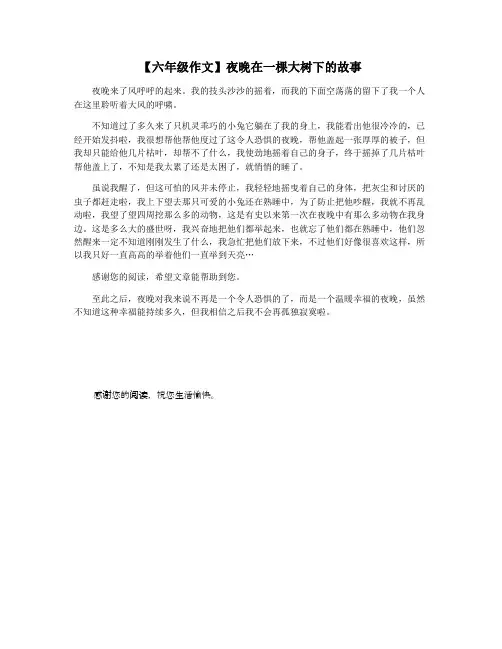 【六年级作文】夜晚在一棵大树下的故事
