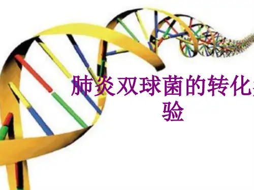 肺炎双球菌的转化实验ppt培训课件