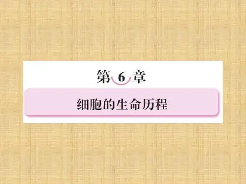 辽宁省沈阳市高中生物 第六章 细胞的生命历程 6.1 细胞的生命过程名师课件 新人教版必修1