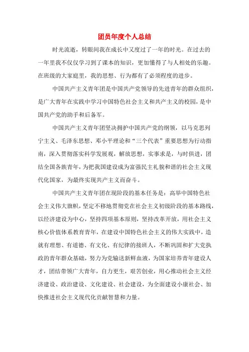 团员年度个人总结 3