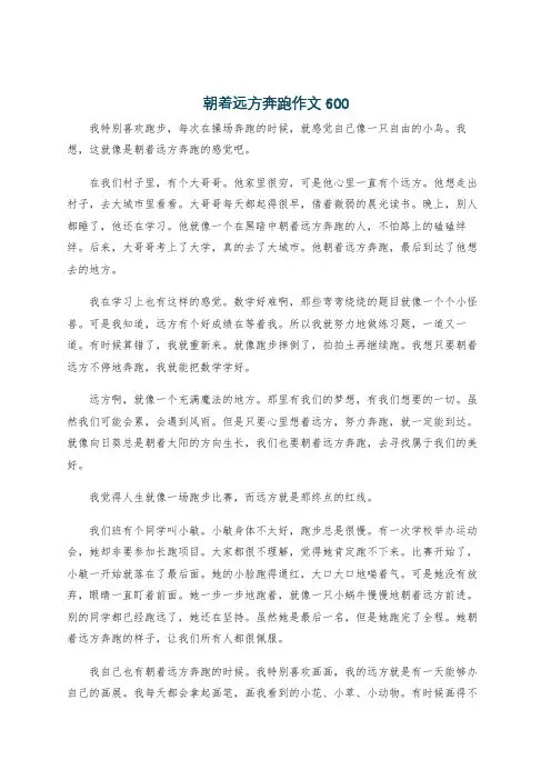 朝着远方奔跑作文600