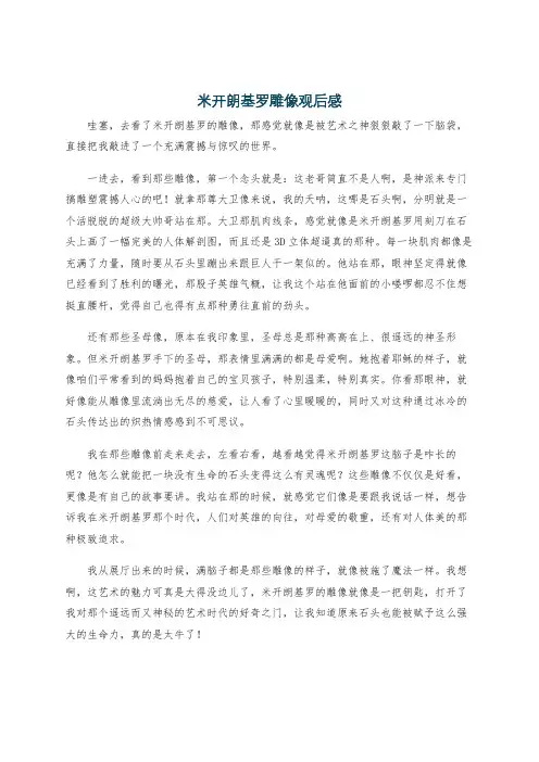 米开朗基罗雕像观后感