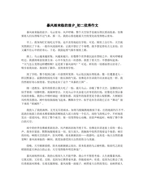 暴风雨来临的前夕_初二优秀作文