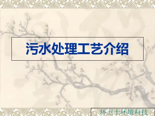 《污水处理工艺介绍》幻灯片PPT