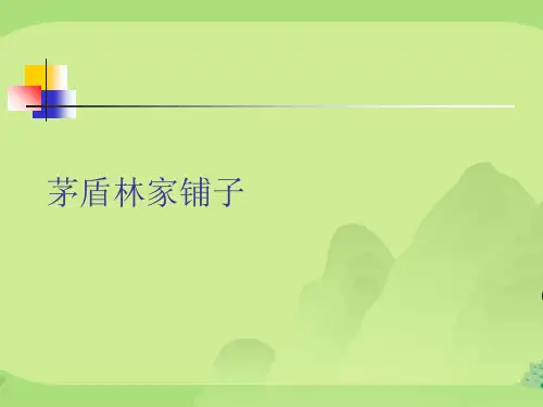 茅盾林家铺子