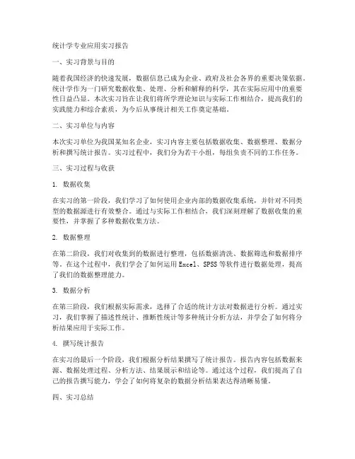 统计学专业应用实习报告