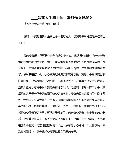 ____是我人生路上的一盏灯作文记叙文