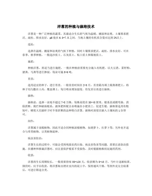 洋葱的种植与栽培技术