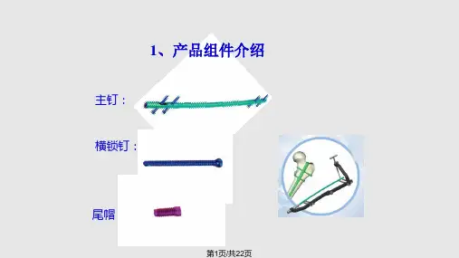 股骨髓内钉PPT课件