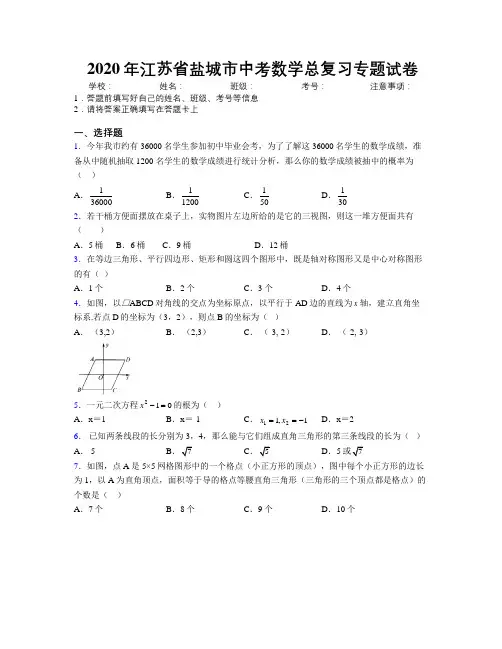 2020年江苏省盐城市中考数学总复习专题试卷附解析