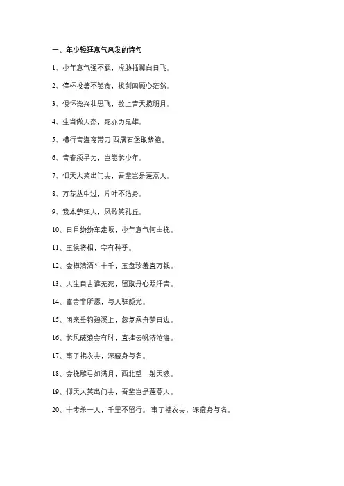 形容年少轻狂意气风发的诗