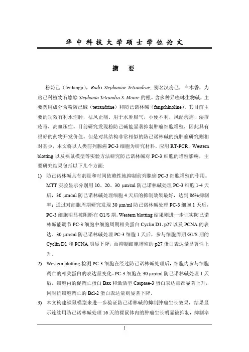 防己诺林碱抑制前列腺癌pc-3细胞增殖的机制研究