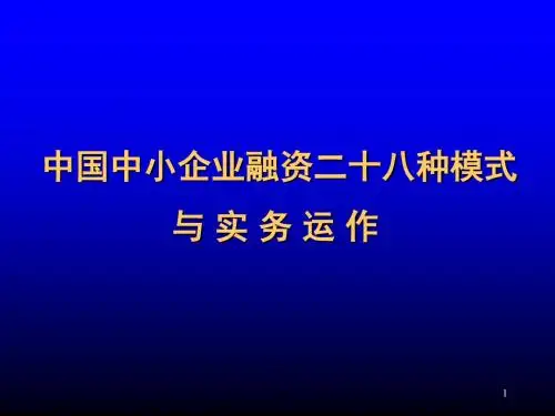 2019年最新-我国中小企业融资的二十八种模式-精选文档