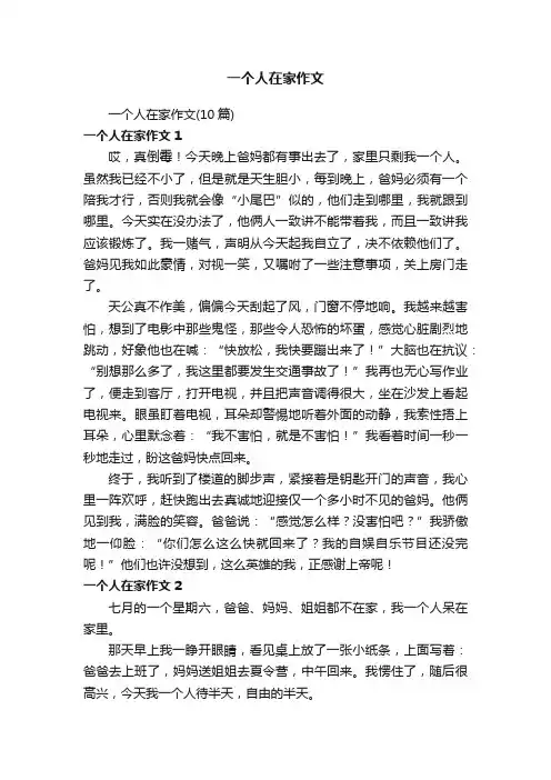 一个人在家作文