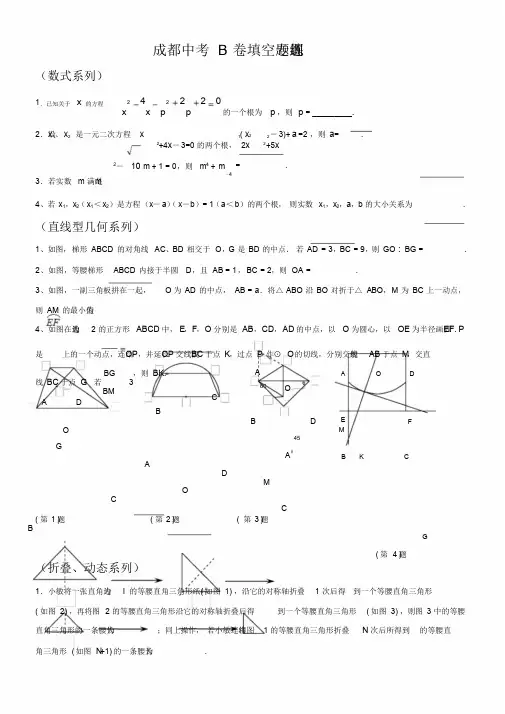 成都中考B卷填空题专题训练