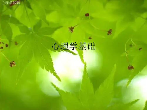 《心理学基础》PPT课件共52页文档