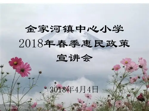 惠民政策宣讲PPT幻灯片