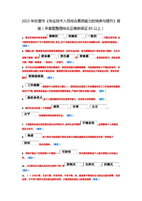 2015年东营市《专业技术人员综合素质能力的培养与提升(精)