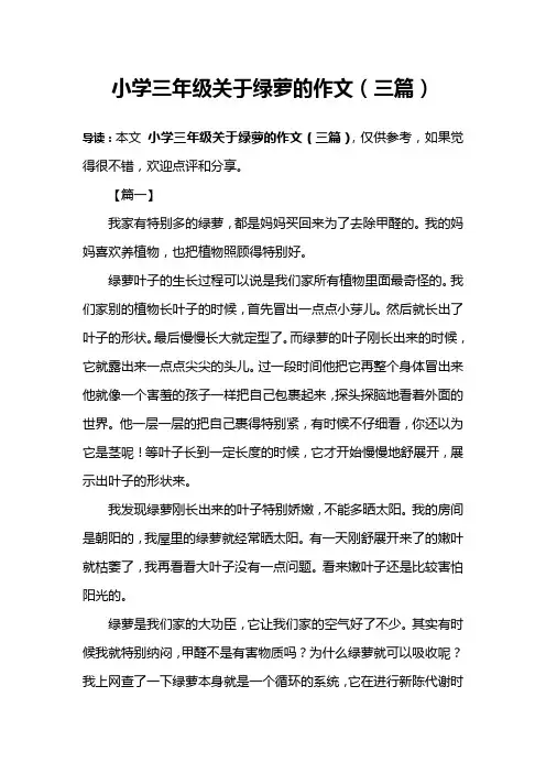 小学三年级关于绿萝的作文(三篇)