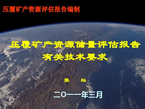 压覆矿产资源储量评估报告有关技术要求-张灿