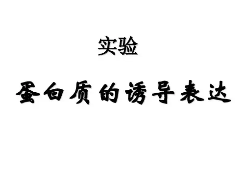 实验 蛋白质的诱导表达