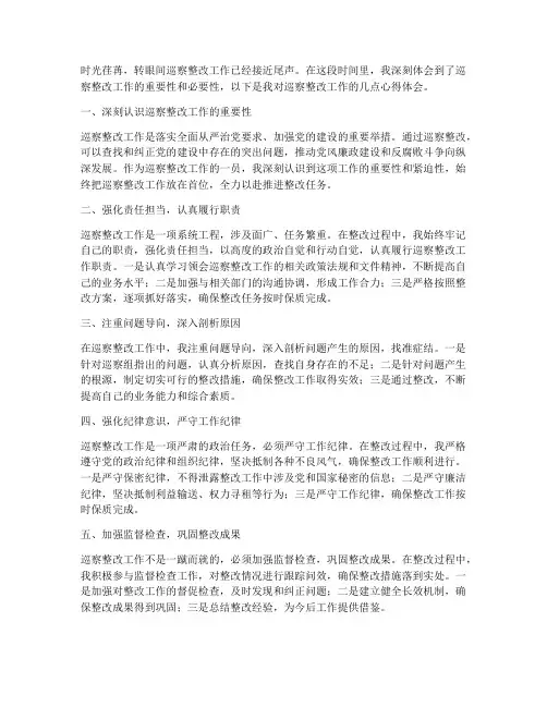 巡察整改工作心得体会