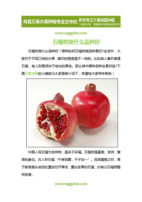 石榴树苗什么品种好