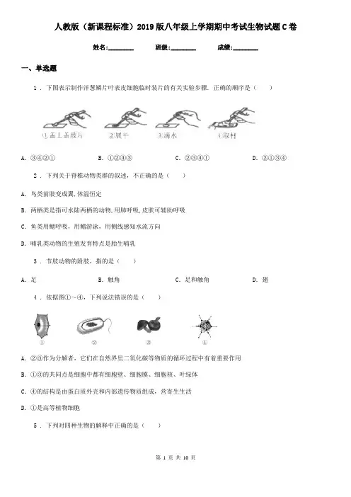 人教版(新课程标准)2019版八年级上学期期中考试生物试题C卷新版