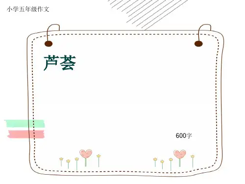小学五年级作文《芦荟》600字(共9页PPT)