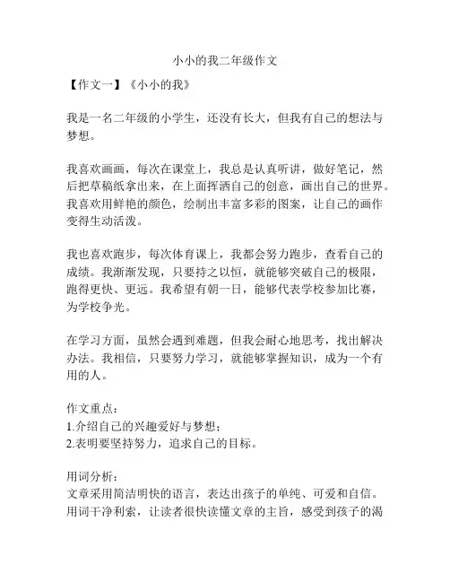 小小的我二年级作文