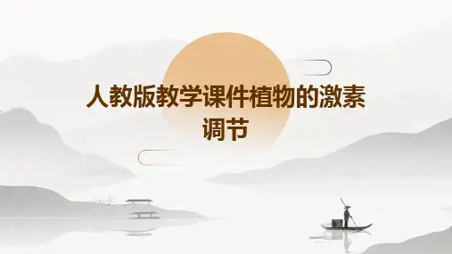 人教版教学课件植物的激素调节