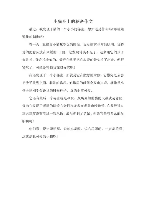 小猫身上的秘密作文