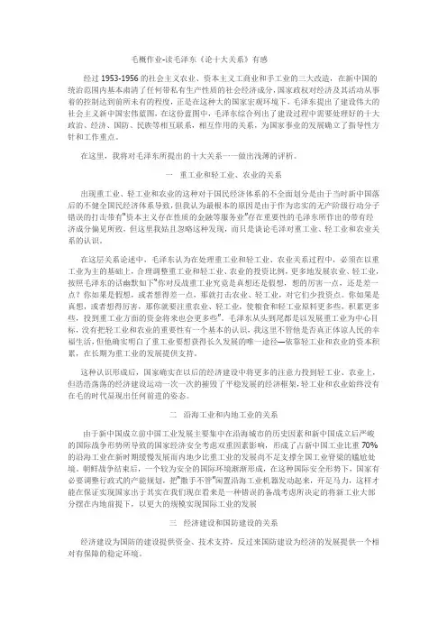 论十大关系读书报告