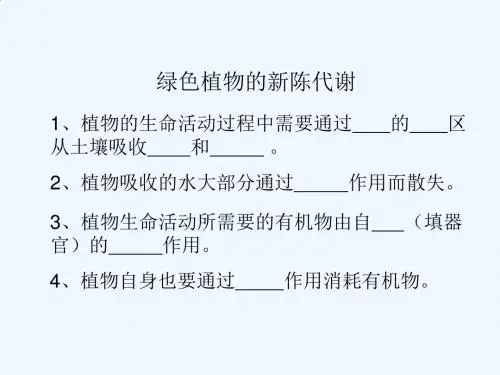 绿色植物的新陈代谢课件