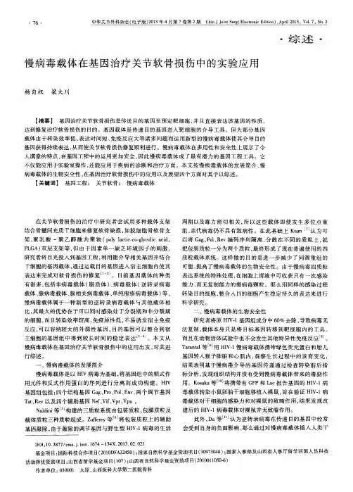 慢病毒载体在基因治疗关节软骨损伤中的实验应用