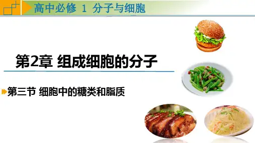 高中生物必修一2.3 细胞中的糖类和脂质课件
