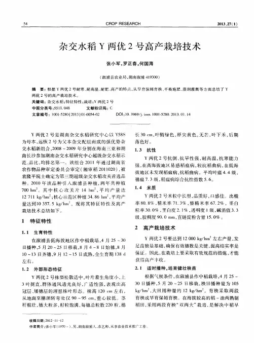 杂交水稻Y两优2号高产栽培技术