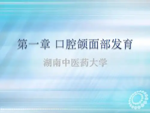 口腔颌面发育ppt课件