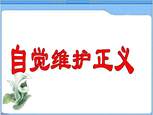 自觉维护正义