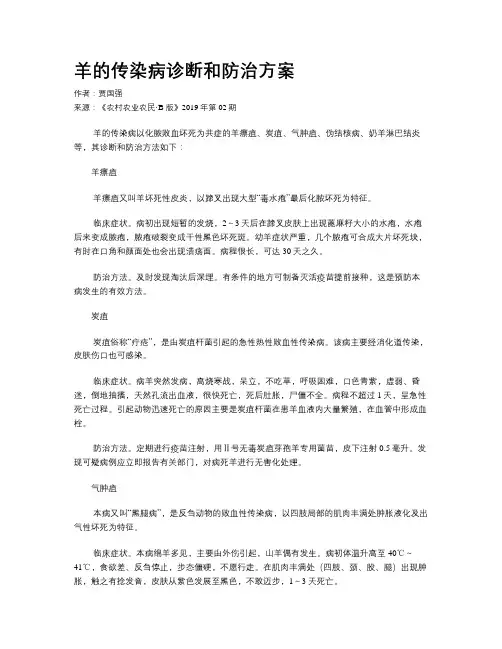 羊的传染病诊断和防治方案