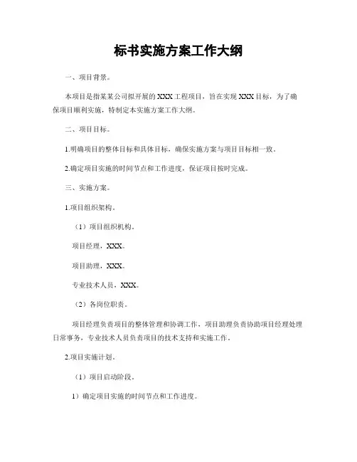 标书实施方案工作大纲