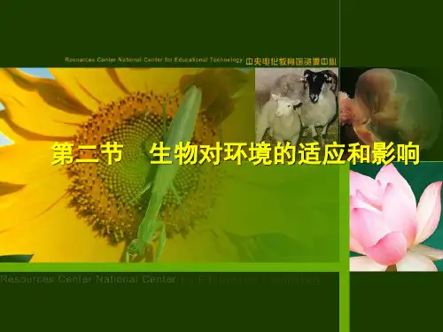 生物对环境的适应公开课讲义