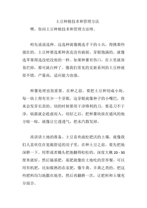 土豆种植技术和管理方法